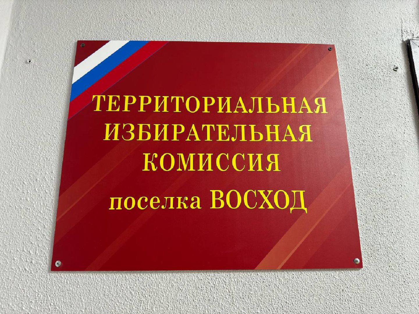 тик, совет депутатов, городской округ восход, выборы,