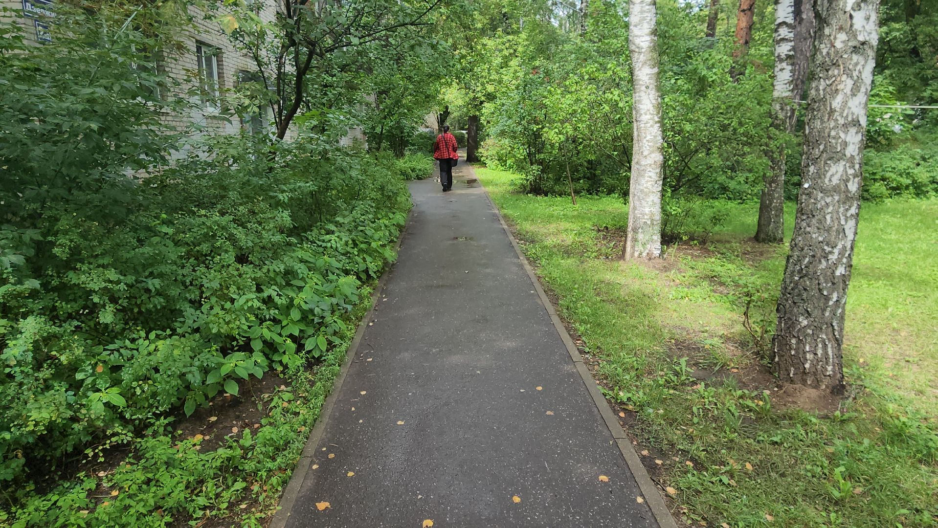 пешие обходы, первый заместитель главы Жуковского, алла дунаевич, ул Дзержинского,