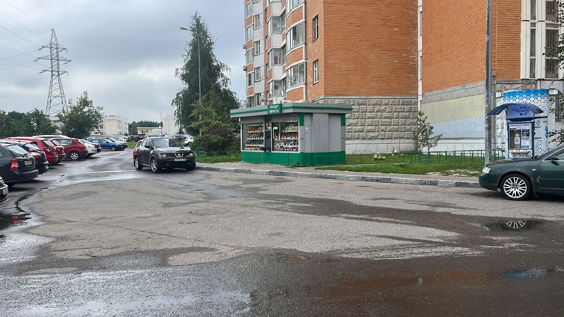 арбуз, арбузы, продажа бахчевых, продажа арбузов, сезон арбузов,