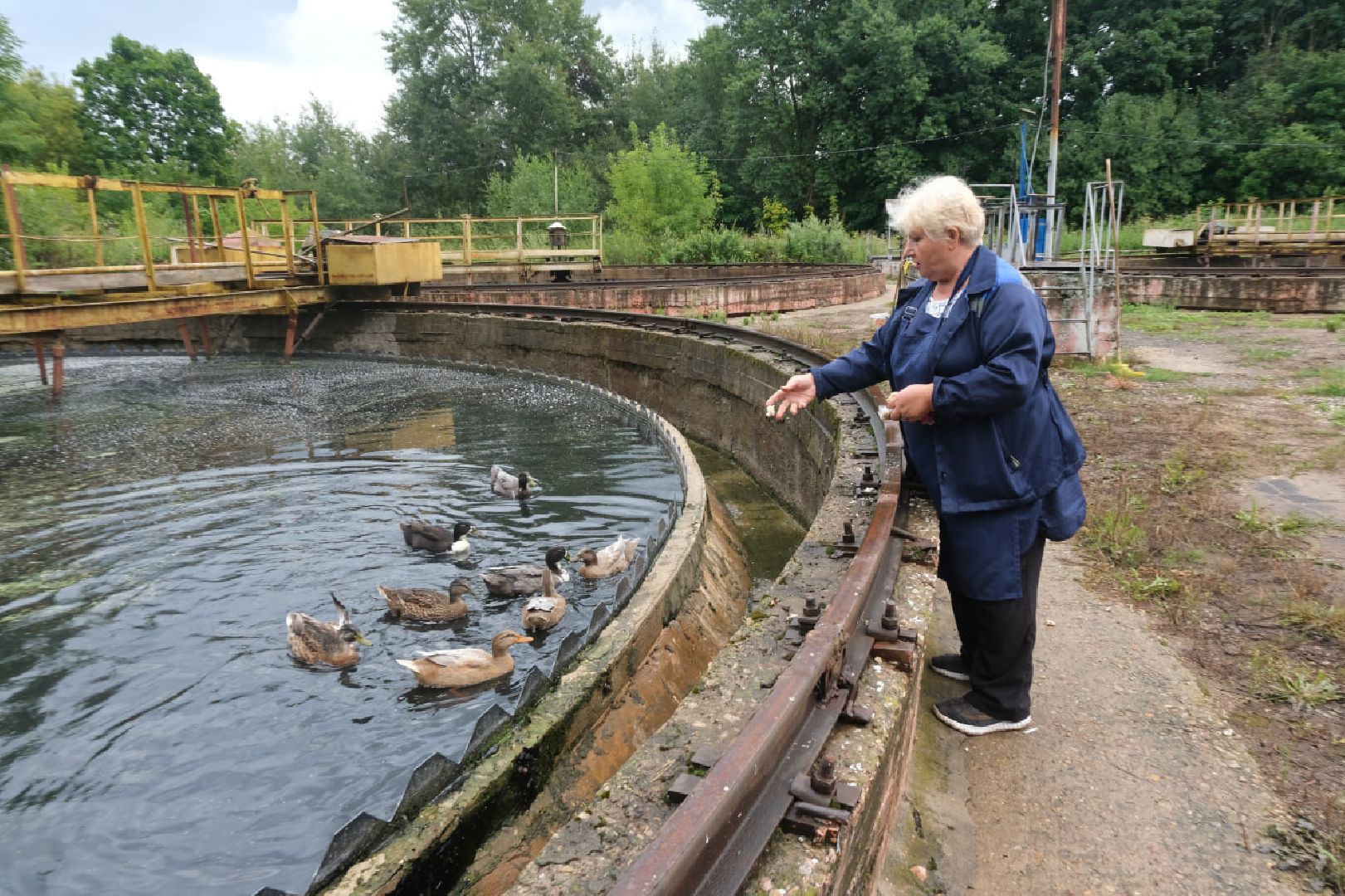 пущино, серпухов, животные, птицы,