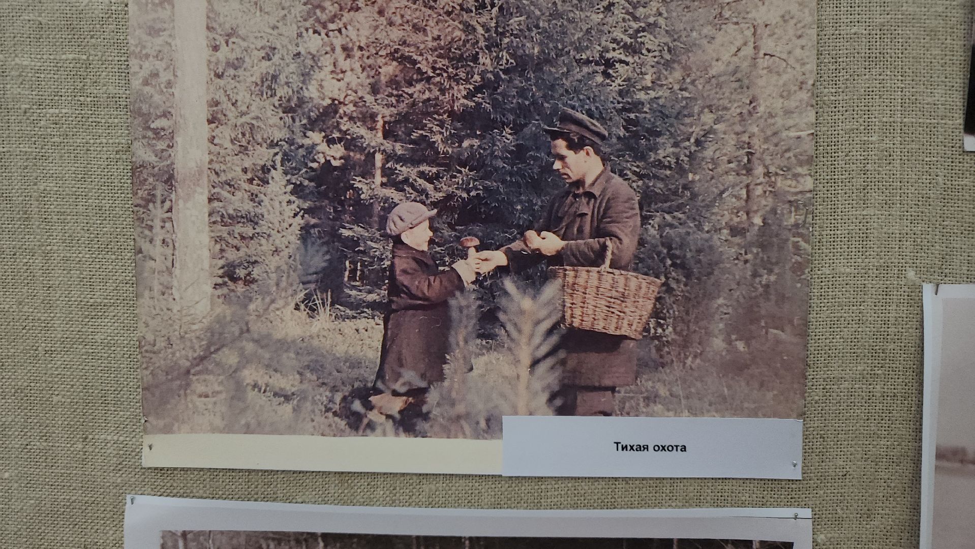 егореьвск, выставка, музей, краевед, краеведение, смирнов,