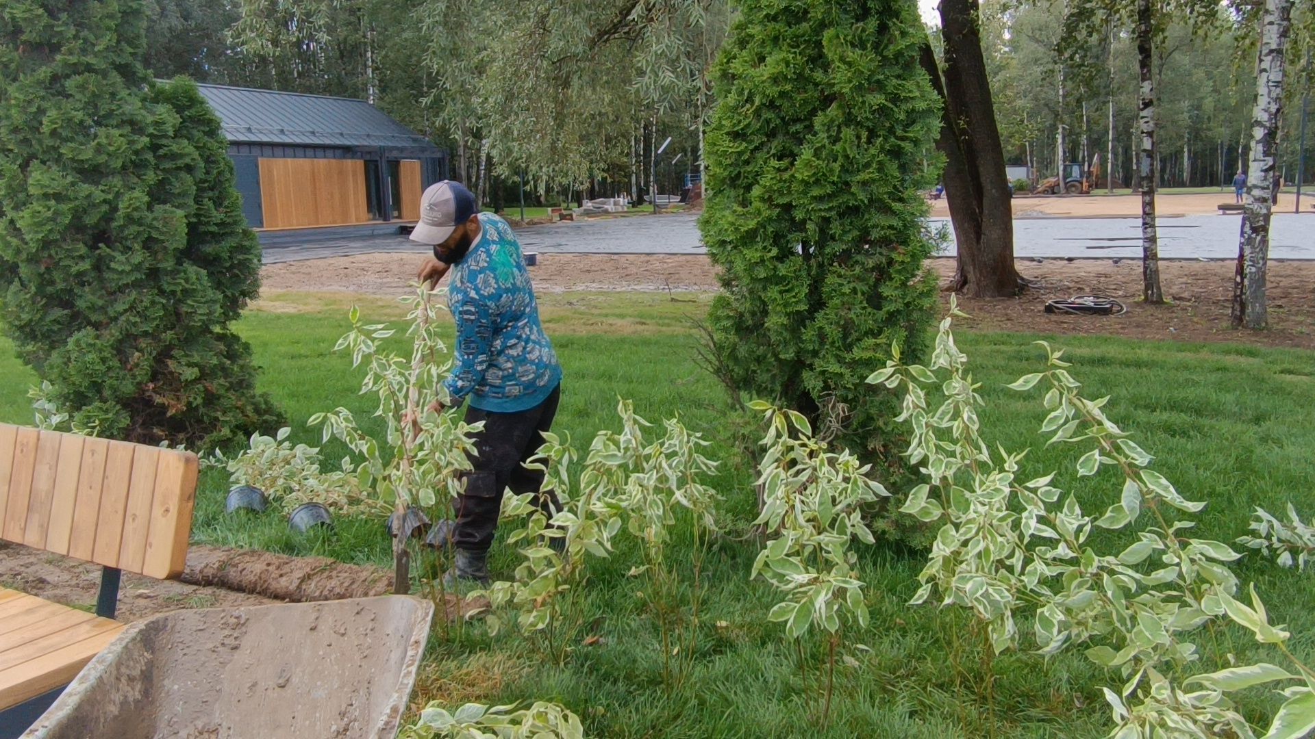 парк, благоустройство, лобня, озеленение,
