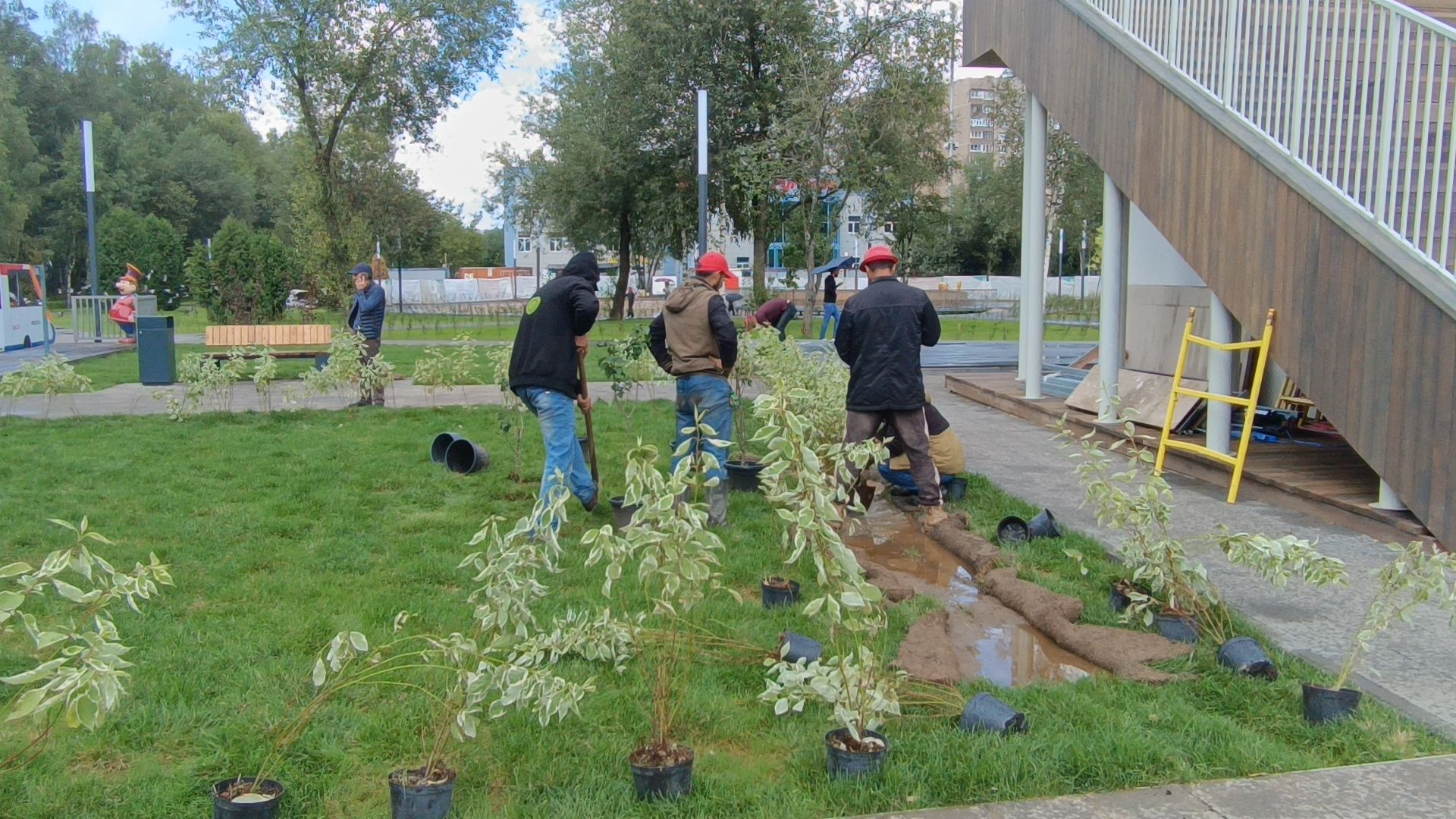 парк, благоустройство, лобня, озеленение,