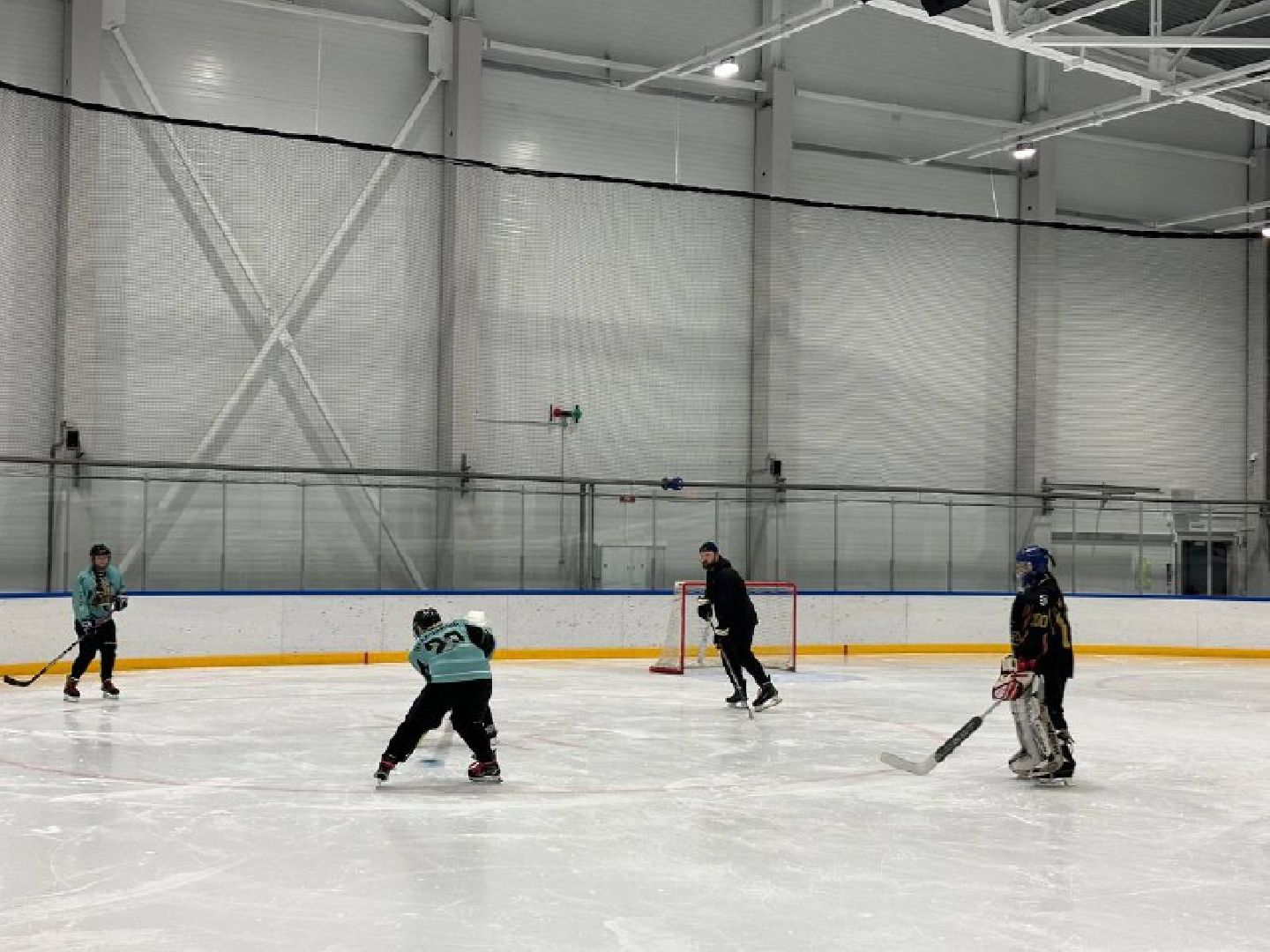 женский хоккей, стадион Авангард, команда Авангард, Домодедово,