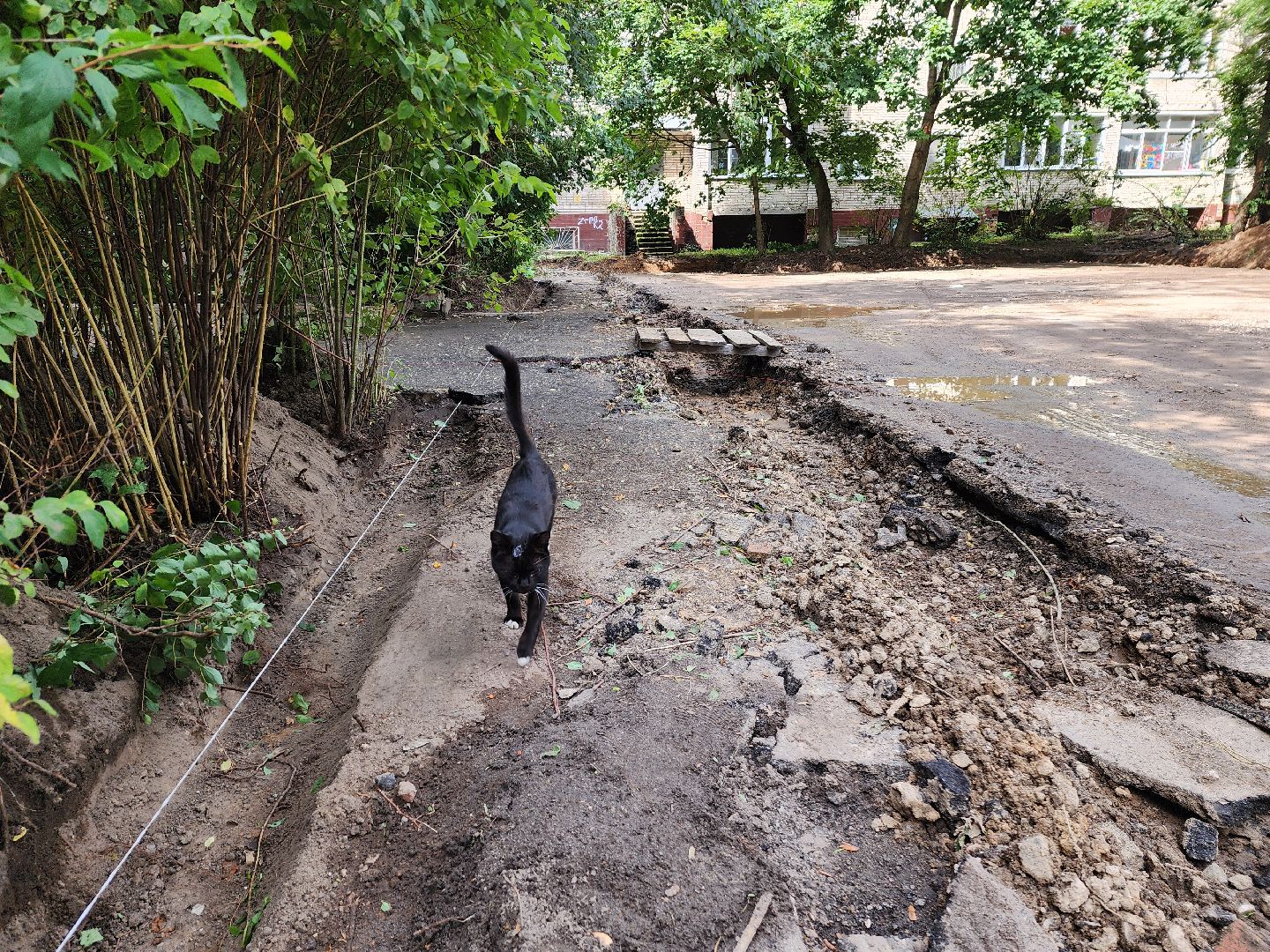 красноармейск, городской округ пушкинский, благоустройство дворов, замена асфальта во дворе,