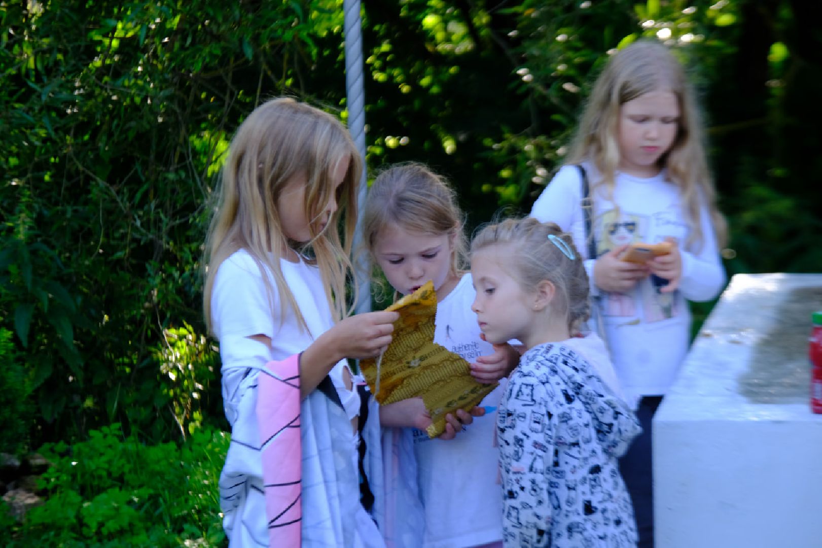 пущино, серпухов, дети, каникулы,