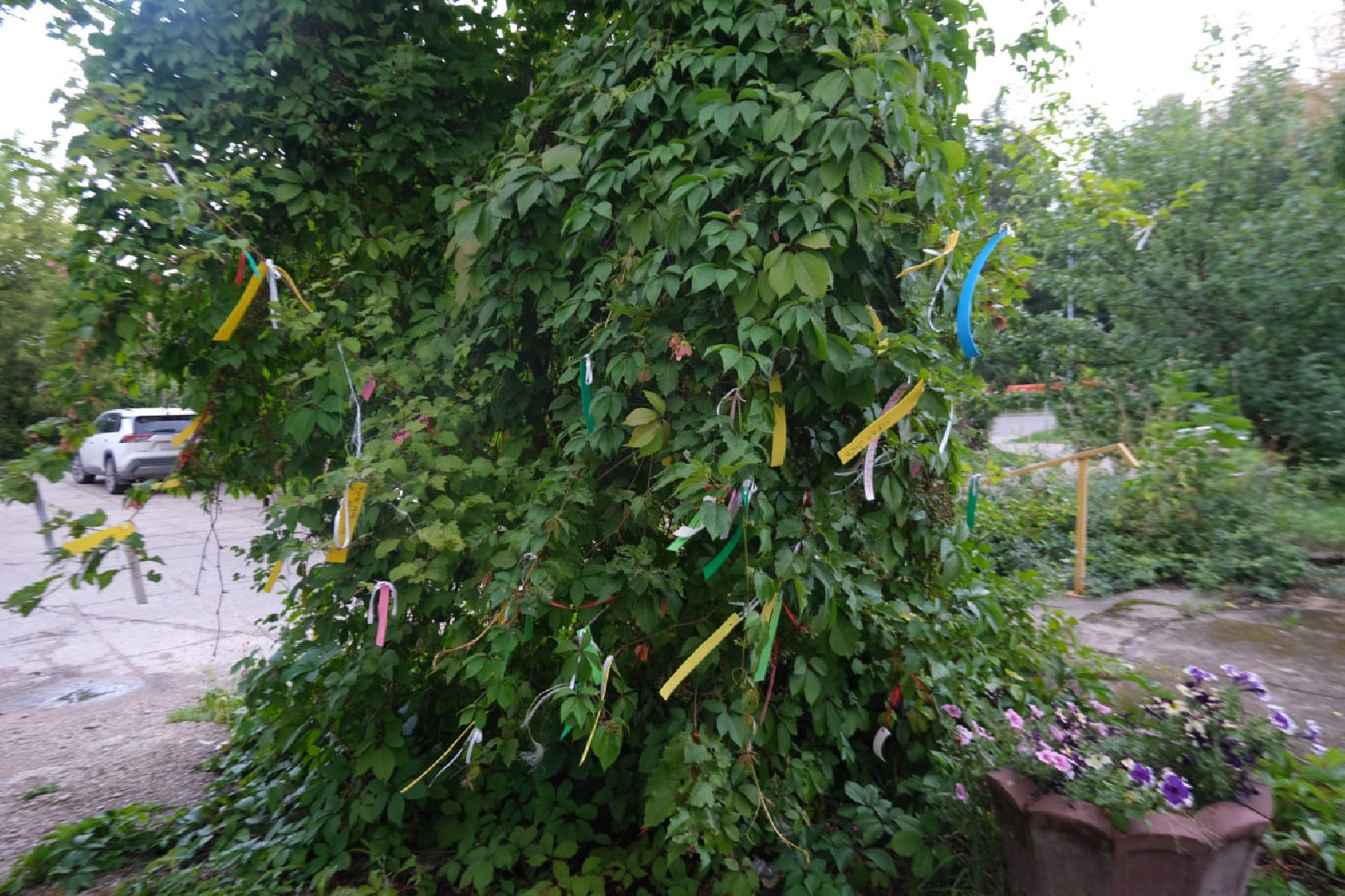 пущино, серпухов, дети, каникулы,