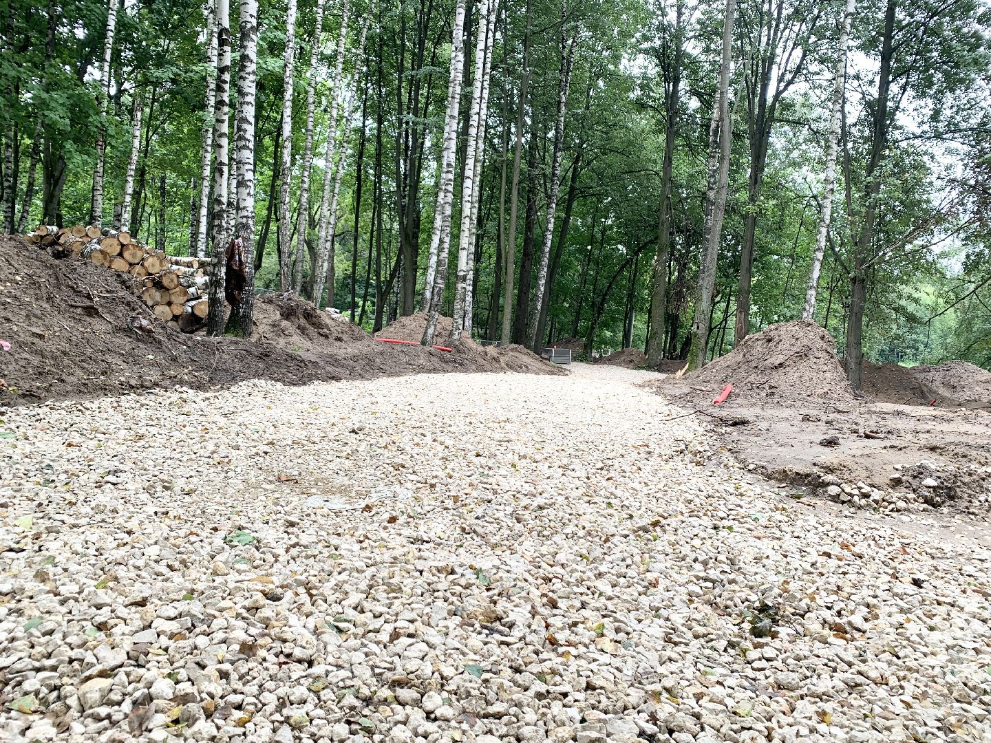 Балашиха, Подмосковье, кучинский лесопарк, Благоустройство лесопарков,