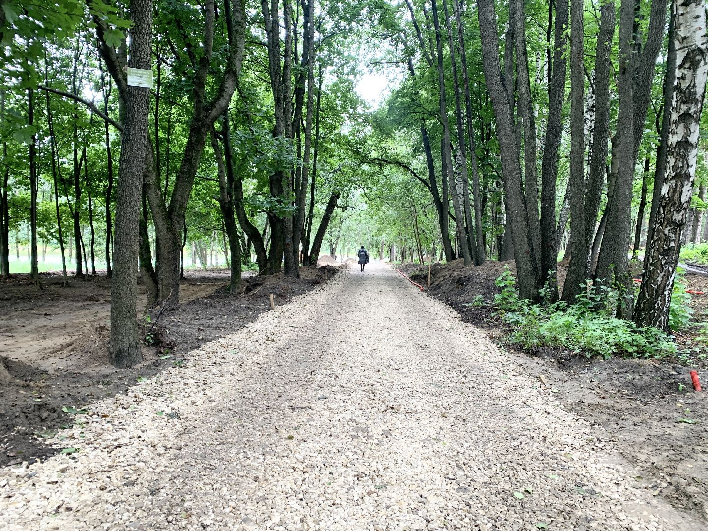 Балашиха, Подмосковье, кучинский лесопарк, Благоустройство лесопарков,