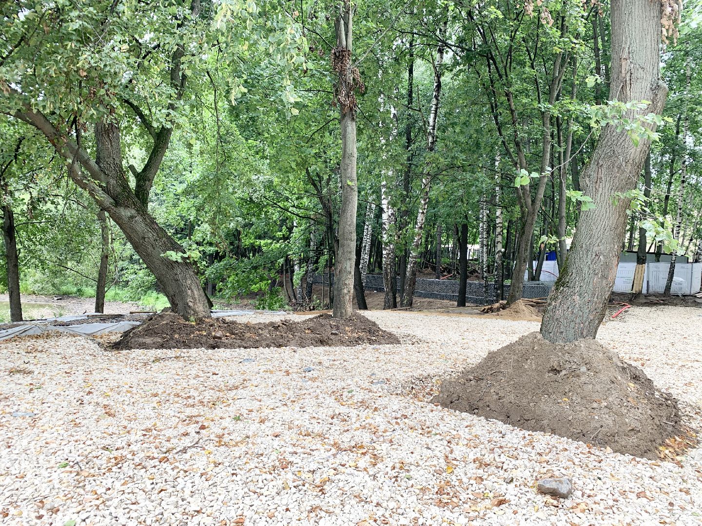 Балашиха, Подмосковье, кучинский лесопарк, Благоустройство лесопарков,