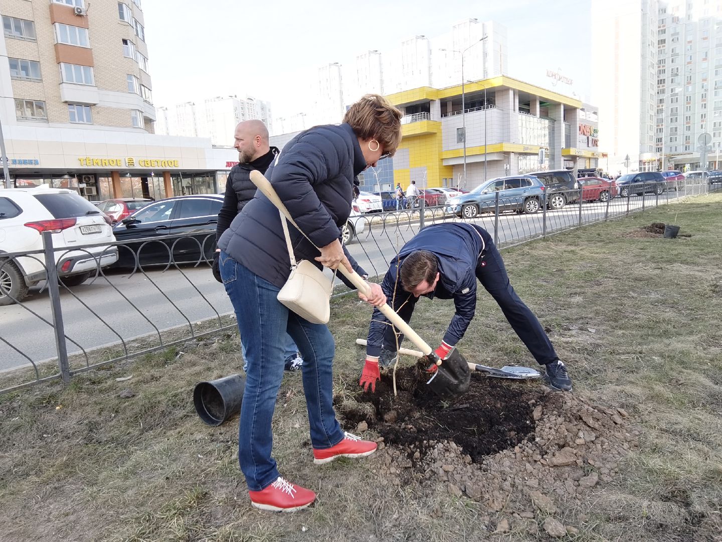 Балашиха, Великая Отечественная Война, гинкго билоба, саженцы гинкго билоба, микрорайон Авиаторов, микрорайон Железнодорожный, бульвар Нестерова, проспект Героев, Управление экологии и природопользования