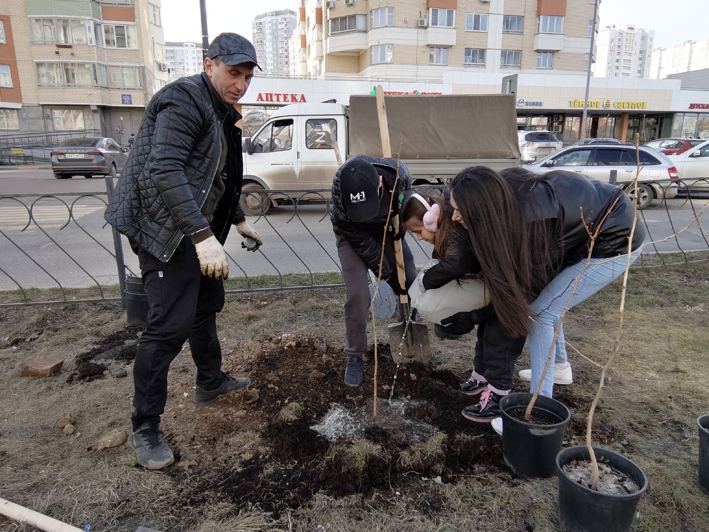 Балашиха, Великая Отечественная Война, гинкго билоба, саженцы гинкго билоба, микрорайон Авиаторов, микрорайон Железнодорожный, бульвар Нестерова, проспект Героев, Управление экологии и природопользования
