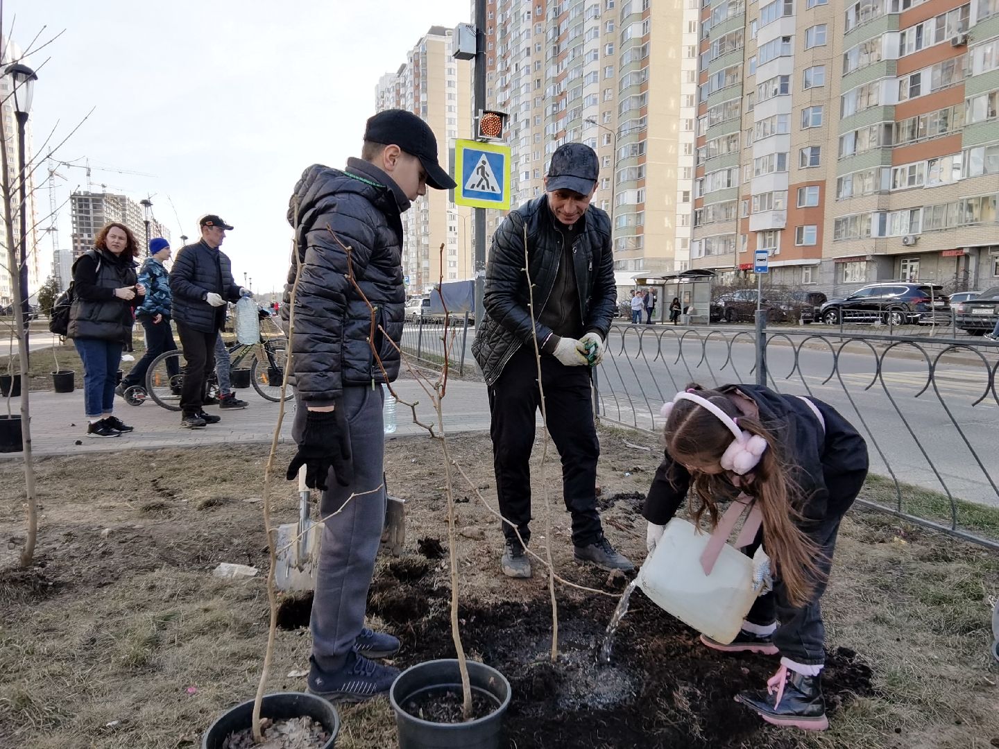Балашиха, Великая Отечественная Война, гинкго билоба, саженцы гинкго билоба, микрорайон Авиаторов, микрорайон Железнодорожный, бульвар Нестерова, проспект Героев, Управление экологии и природопользования
