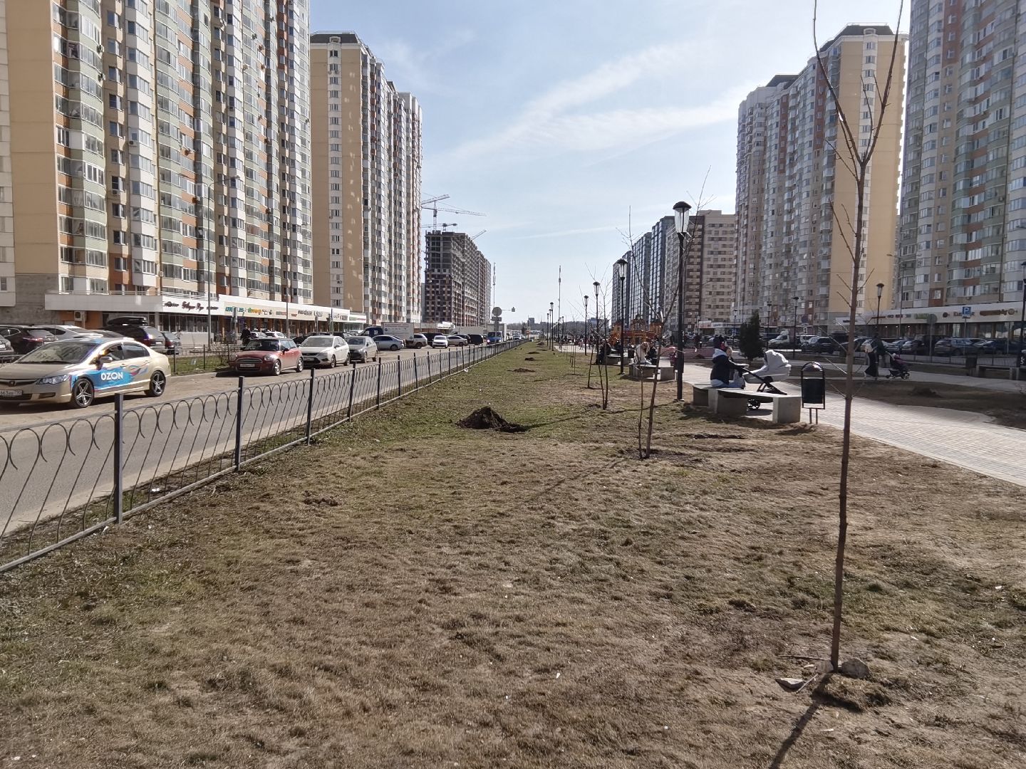 Балашиха, Великая Отечественная Война, гинкго билоба, саженцы гинкго билоба, микрорайон Авиаторов, микрорайон Железнодорожный, бульвар Нестерова, проспект Героев, Управление экологии и природопользования