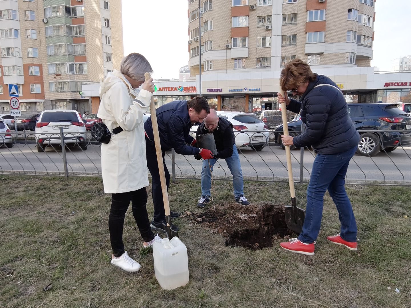 Балашиха, Великая Отечественная Война, гинкго билоба, саженцы гинкго билоба, микрорайон Авиаторов, микрорайон Железнодорожный, бульвар Нестерова, проспект Героев, Управление экологии и природопользования