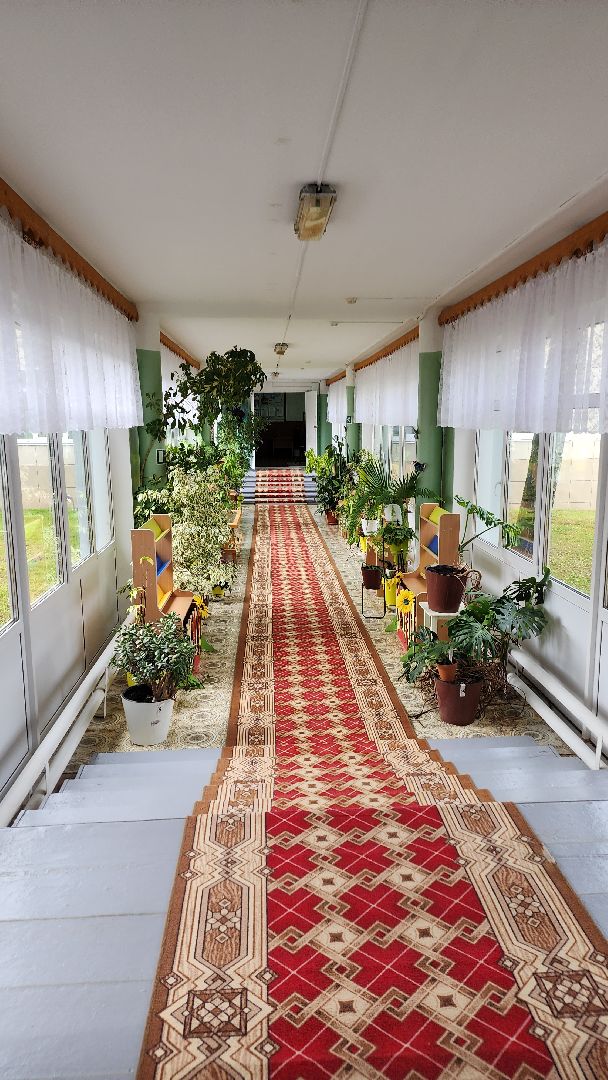 дошкольное отделение, Истра, Дети, Безопасность, детский сад, детсад,