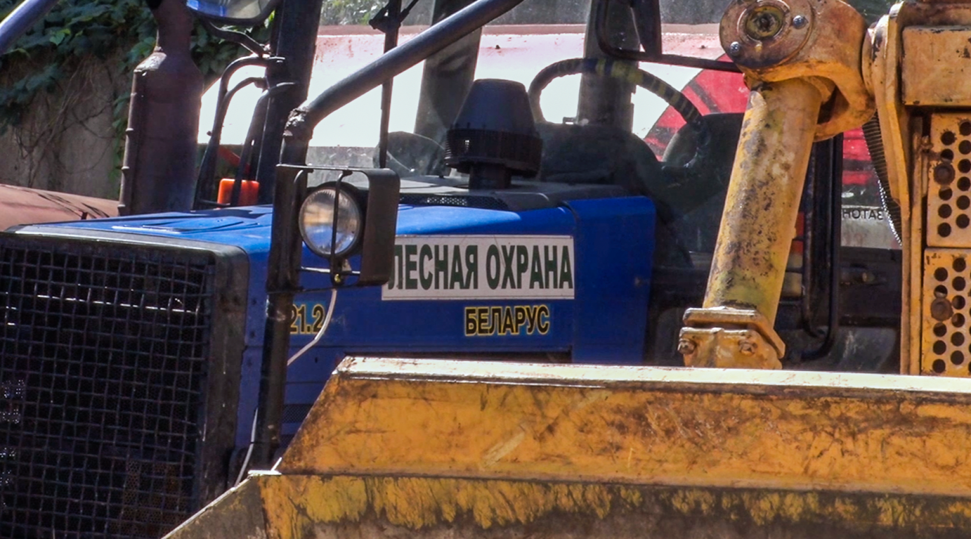 Клин, общество, пожары, лес,