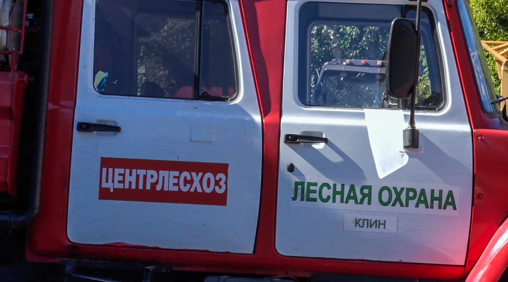 Клин, общество, пожары, лес,