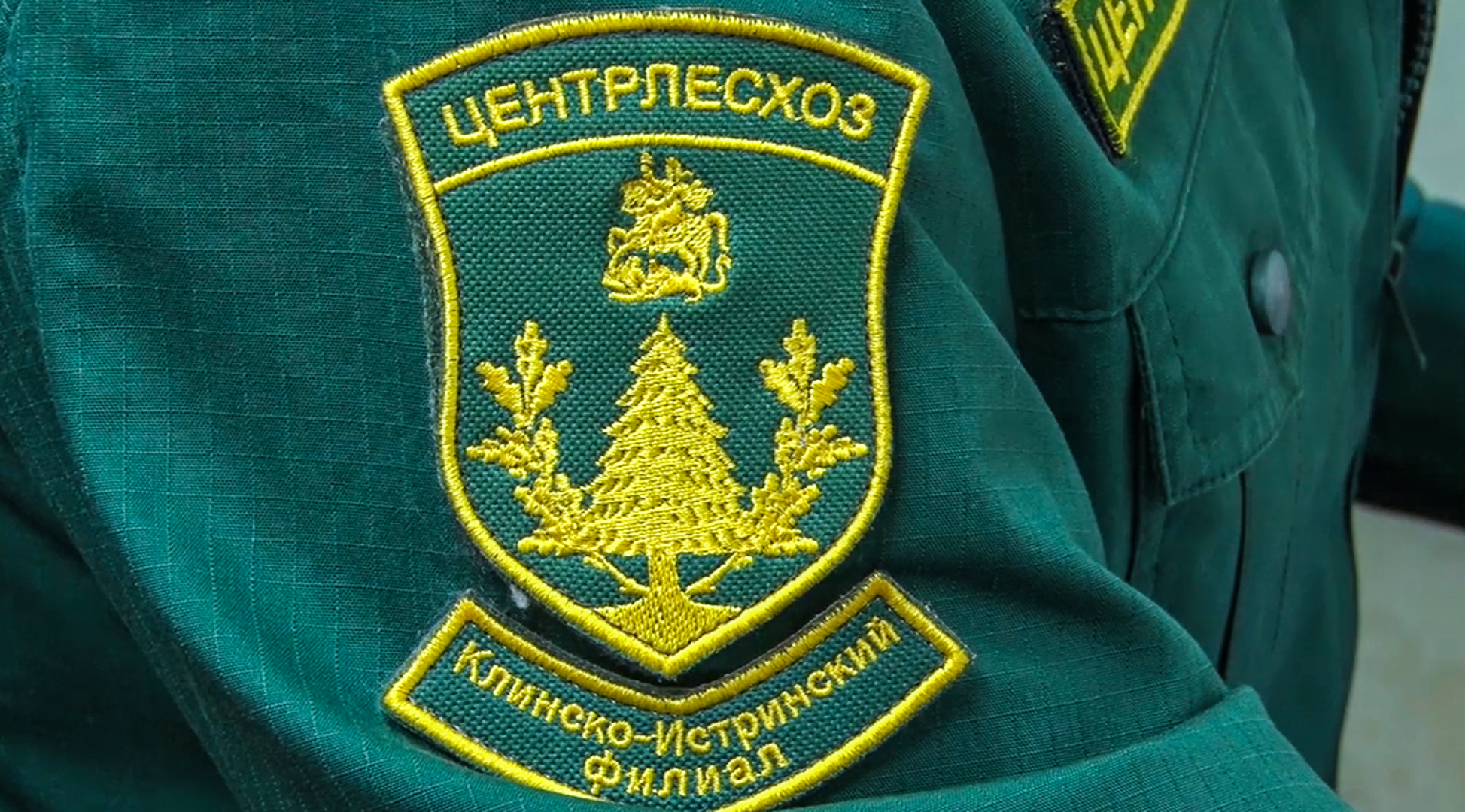 Клин, общество, пожары, лес,