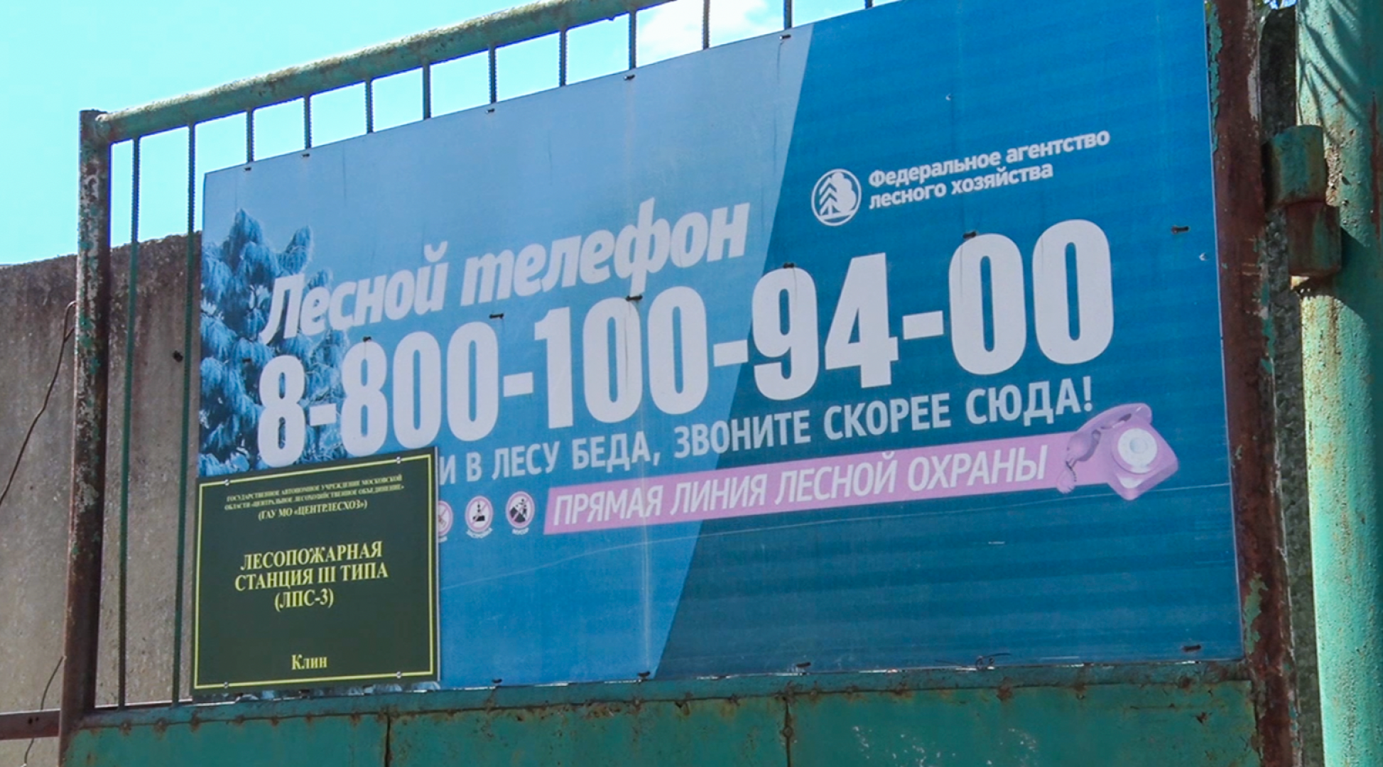 Клин, общество, пожары, лес,