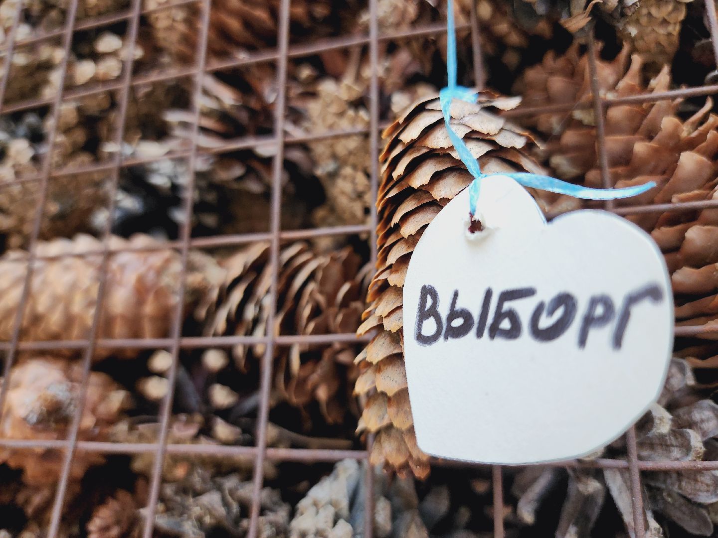 Егорьевск, Подмосковье, Московская область, муз-мус, экомузей, экология,