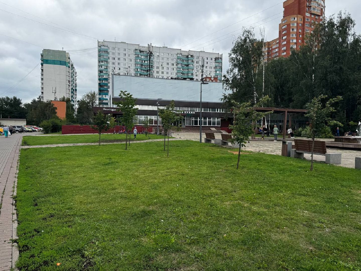 химки, выездная администрация, благоустройство, обращения жителей,