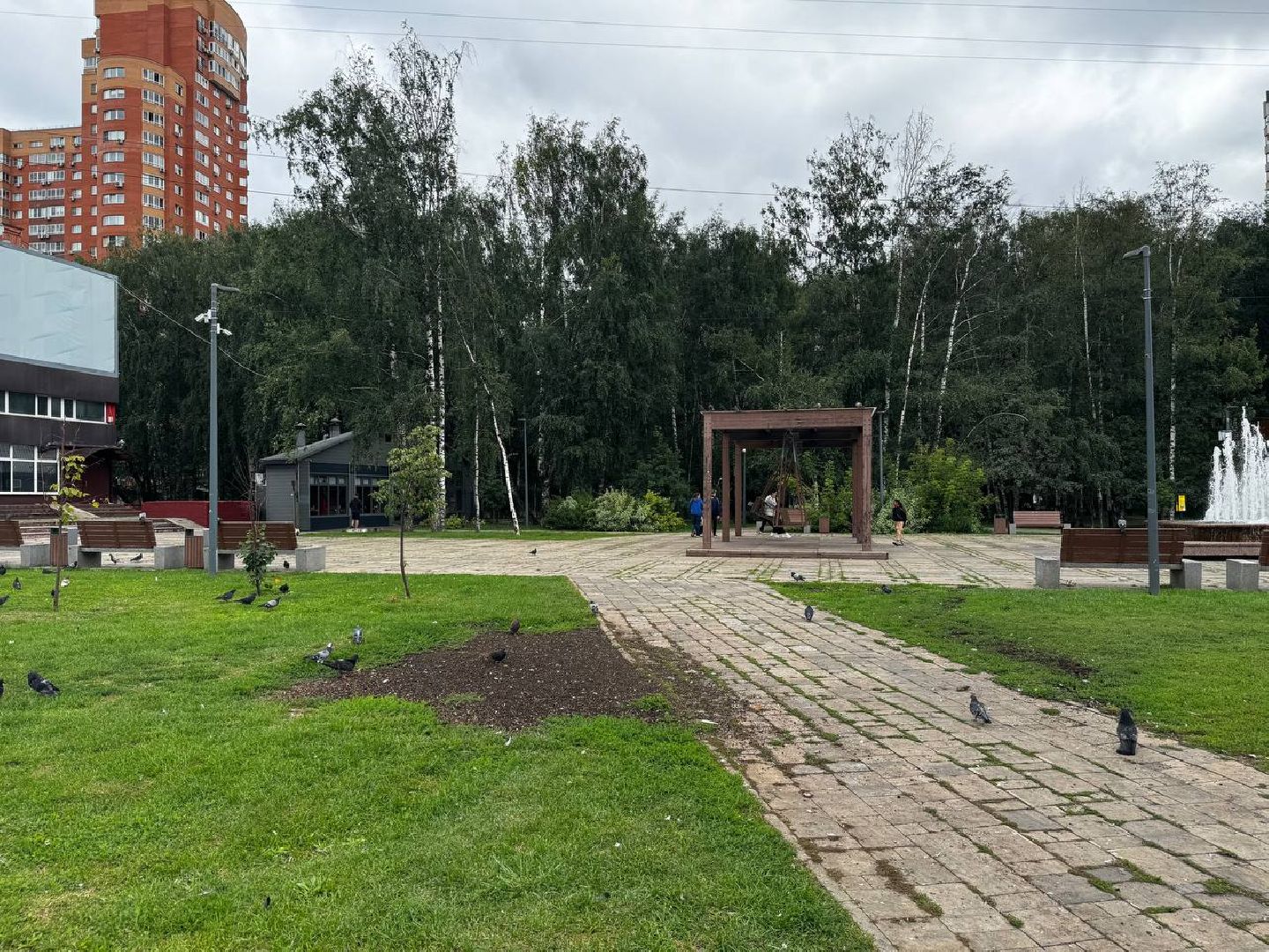 химки, выездная администрация, благоустройство, обращения жителей,