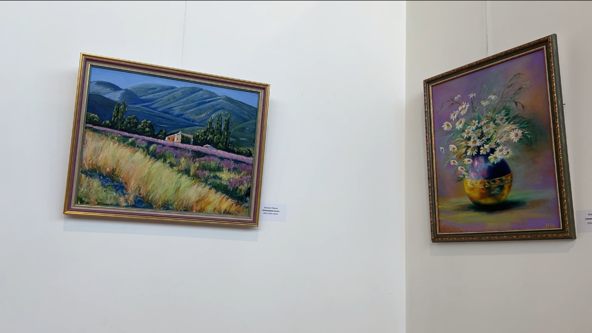 химки, культура, активное долголетие, выставка,