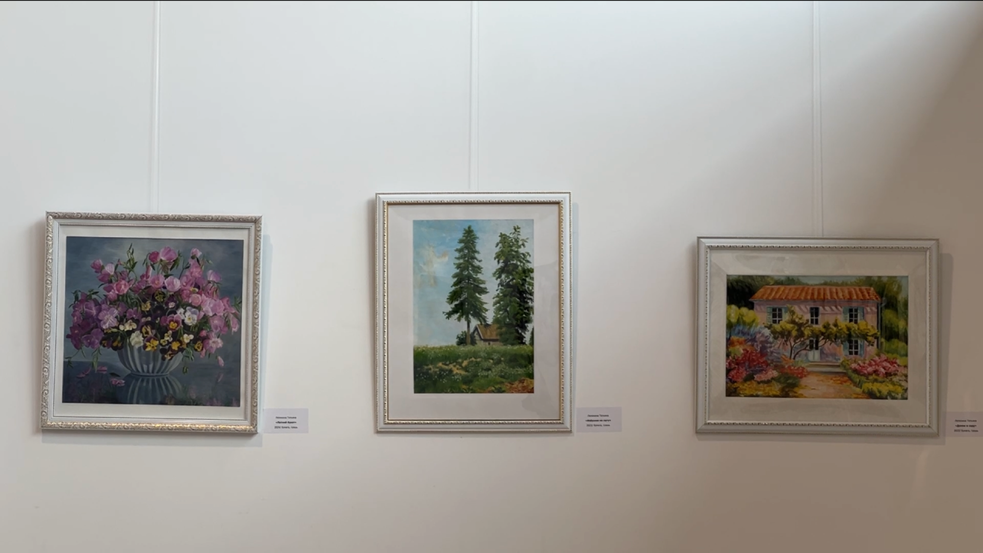 химки, культура, активное долголетие, выставка,