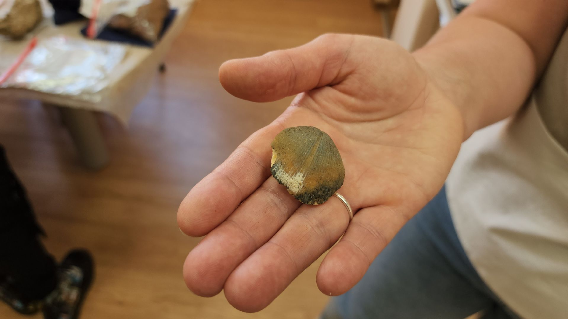 Дубна, Университет, Экспедиция, Студенты, Образование, Наука,