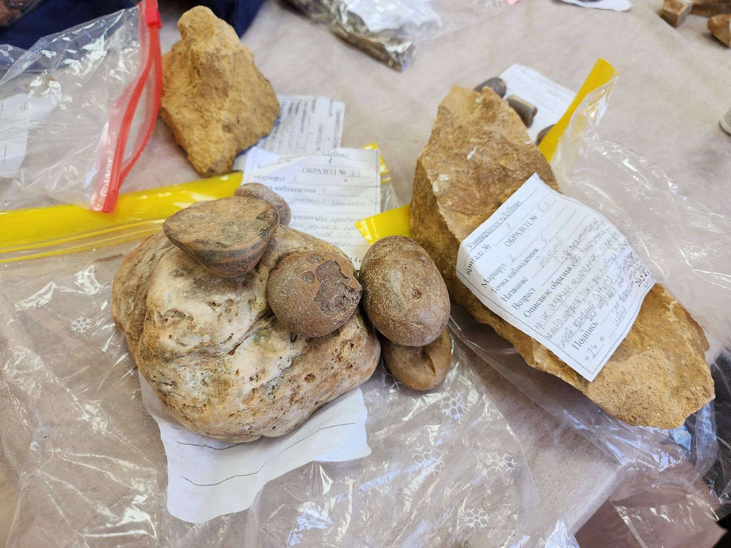 Дубна, Университет, Экспедиция, Студенты, Образование, Наука,