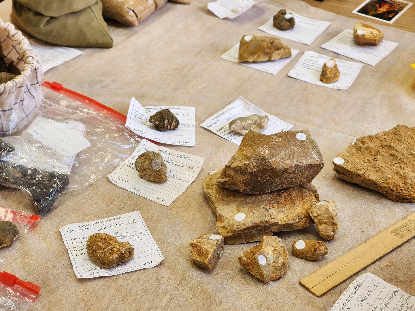 Дубна, Университет, Экспедиция, Студенты, Образование, Наука,