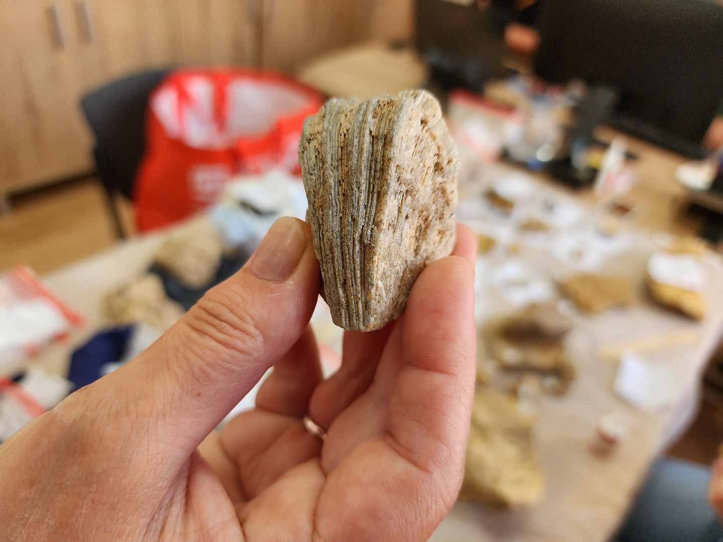 Дубна, Университет, Экспедиция, Студенты, Образование, Наука,