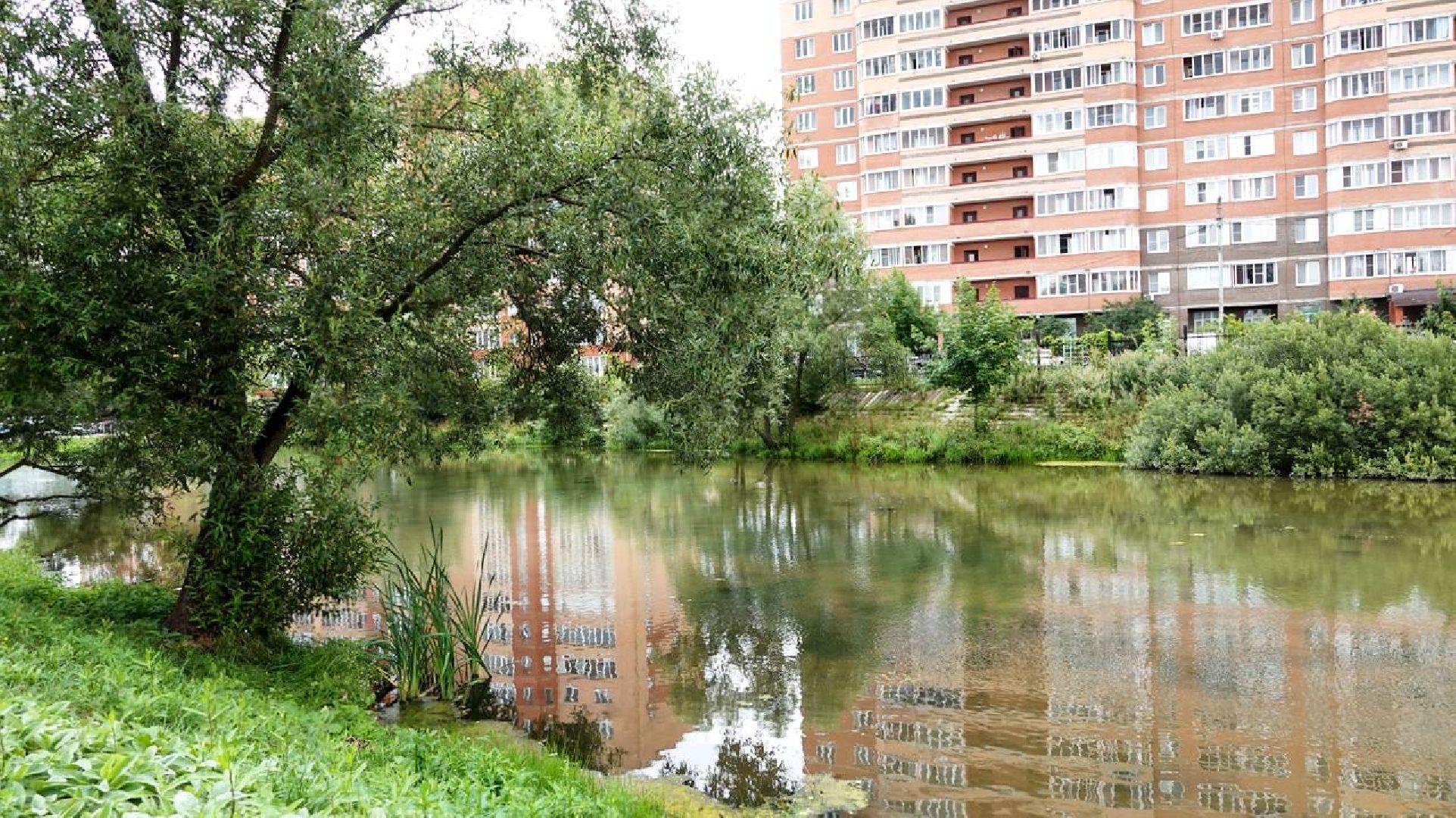 Экология, Минэкологии МО, Очистка водоемов,