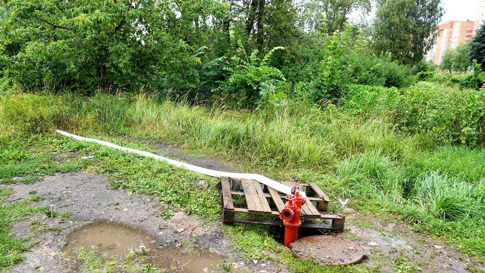 Экология, Минэкологии МО, Очистка водоемов,