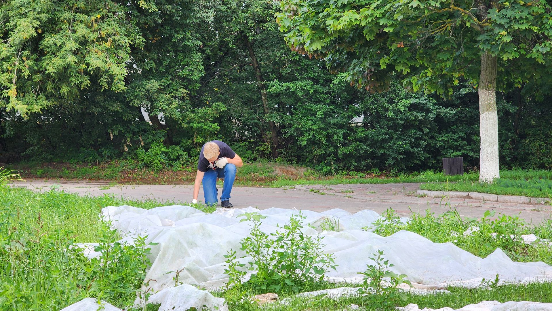 дворец молодежи, молодежь, трудовые бригады, протвино, благоустройство,