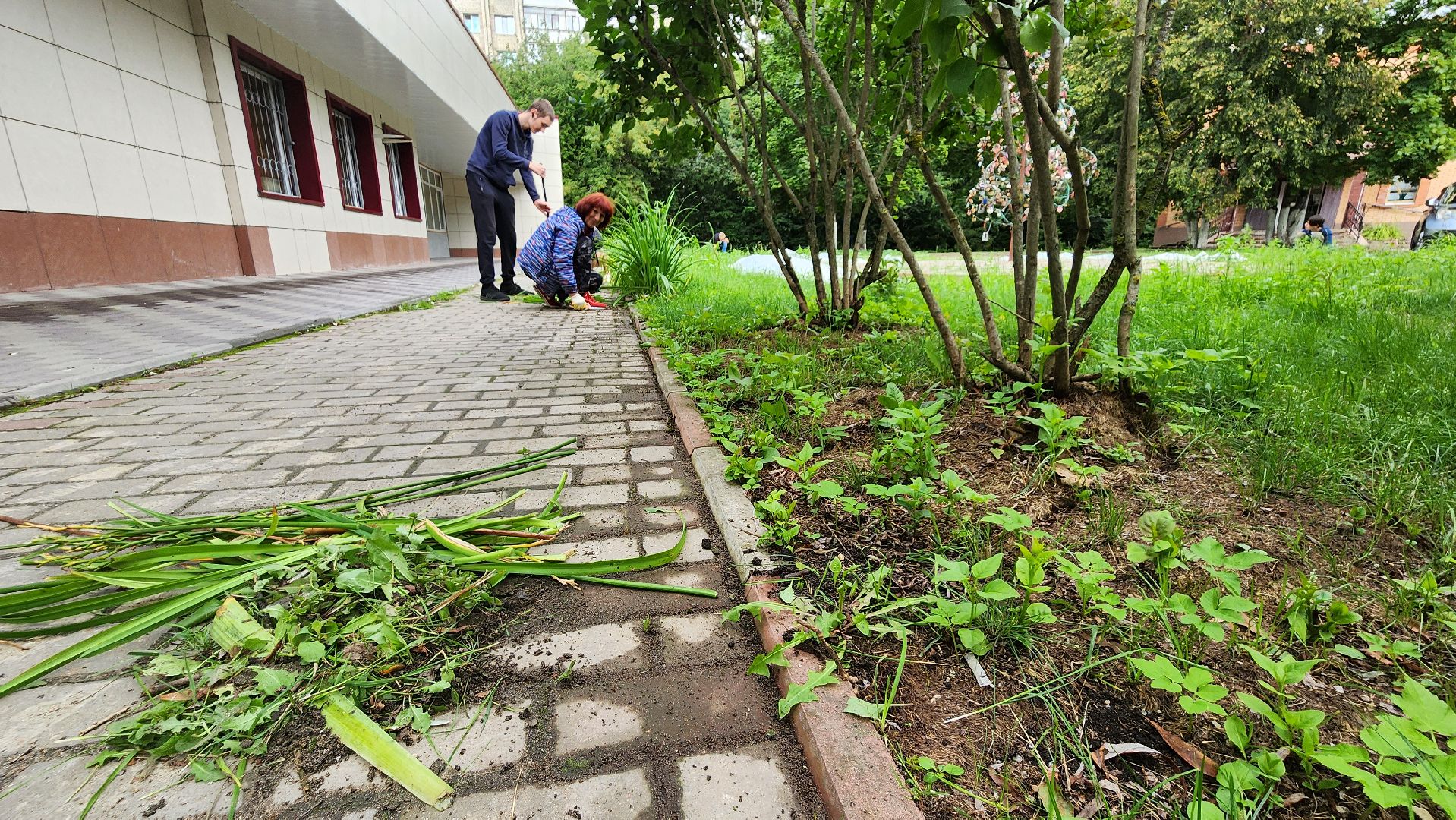 дворец молодежи, молодежь, трудовые бригады, протвино, благоустройство,