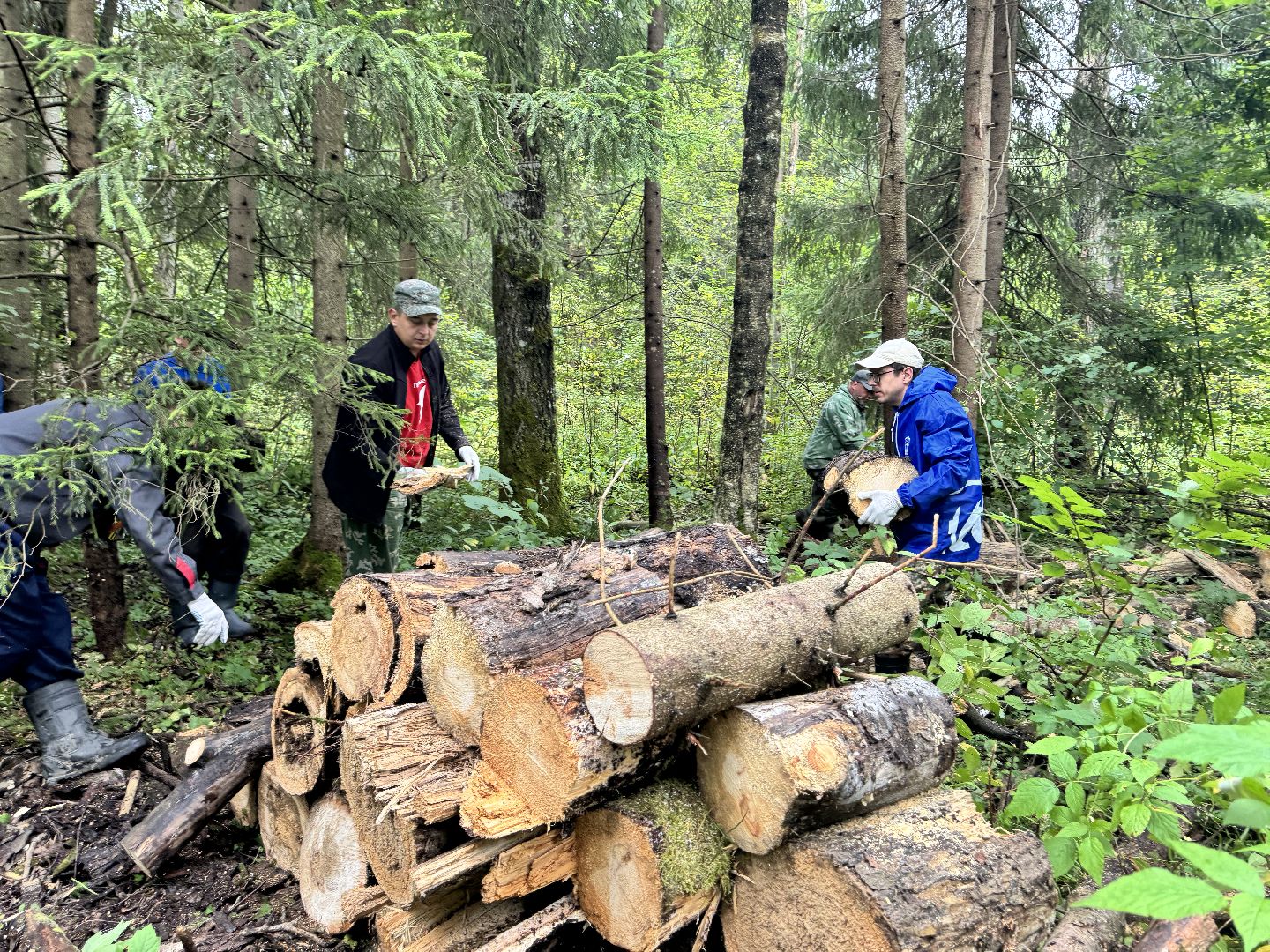 шаховская, лесничество, акция чистый лес, экологии, экологическая акция,