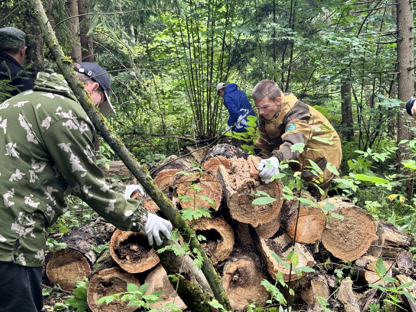 шаховская, лесничество, акция чистый лес, экологии, экологическая акция,