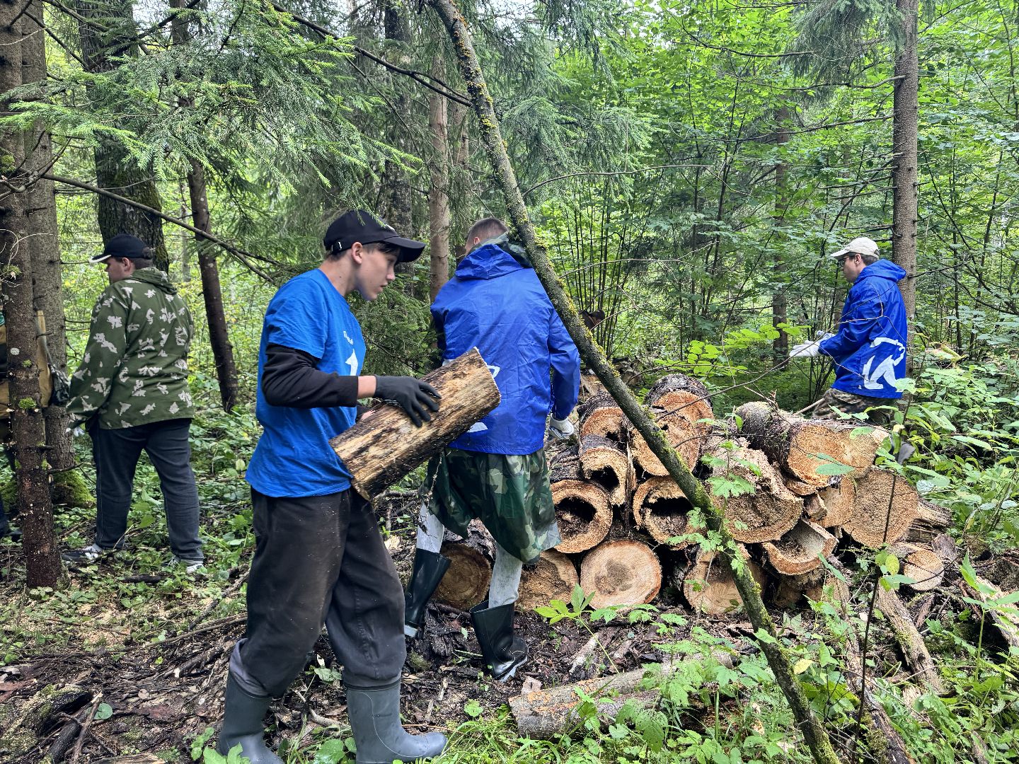 шаховская, лесничество, акция чистый лес, экологии, экологическая акция,