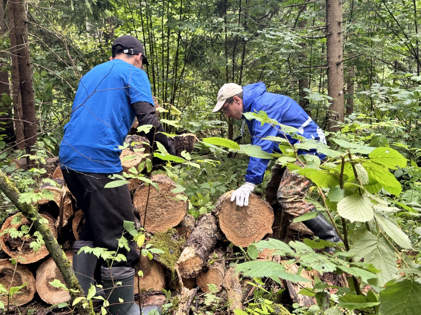 шаховская, лесничество, акция чистый лес, экологии, экологическая акция,