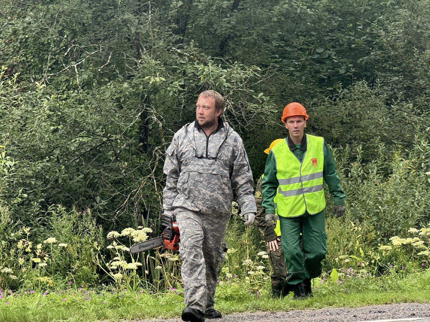 шаховская, лесничество, акция чистый лес, экологии, экологическая акция,