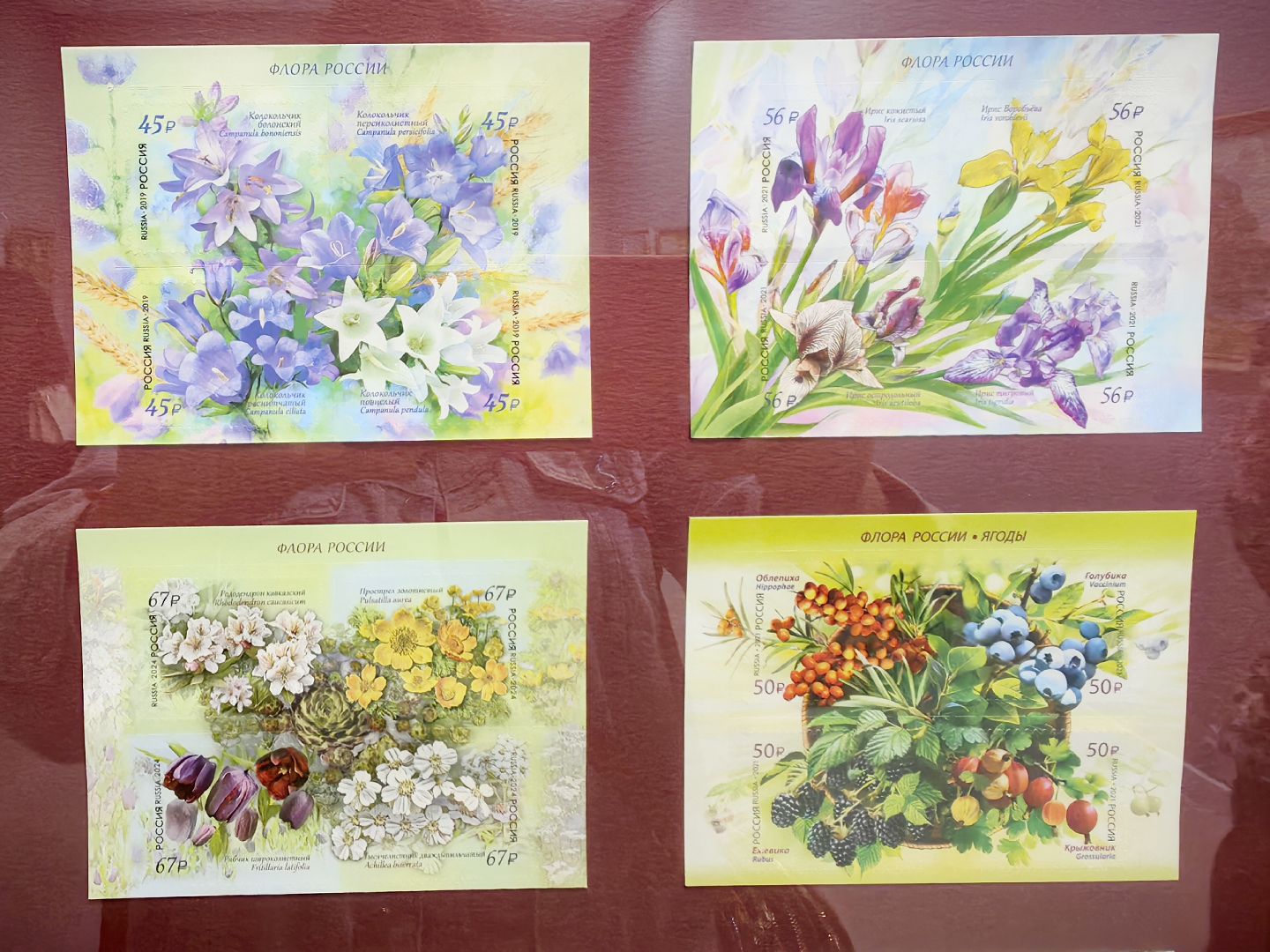 галерея, картины, марки, музей, выставка, союз художников, щёлково,