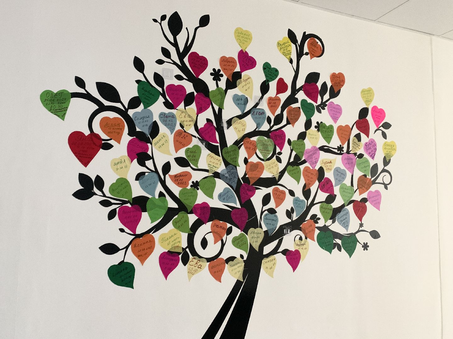 Балашиха, Подмосковье, акушер гинеколог, новые медицинские специалисты,родильный дом,