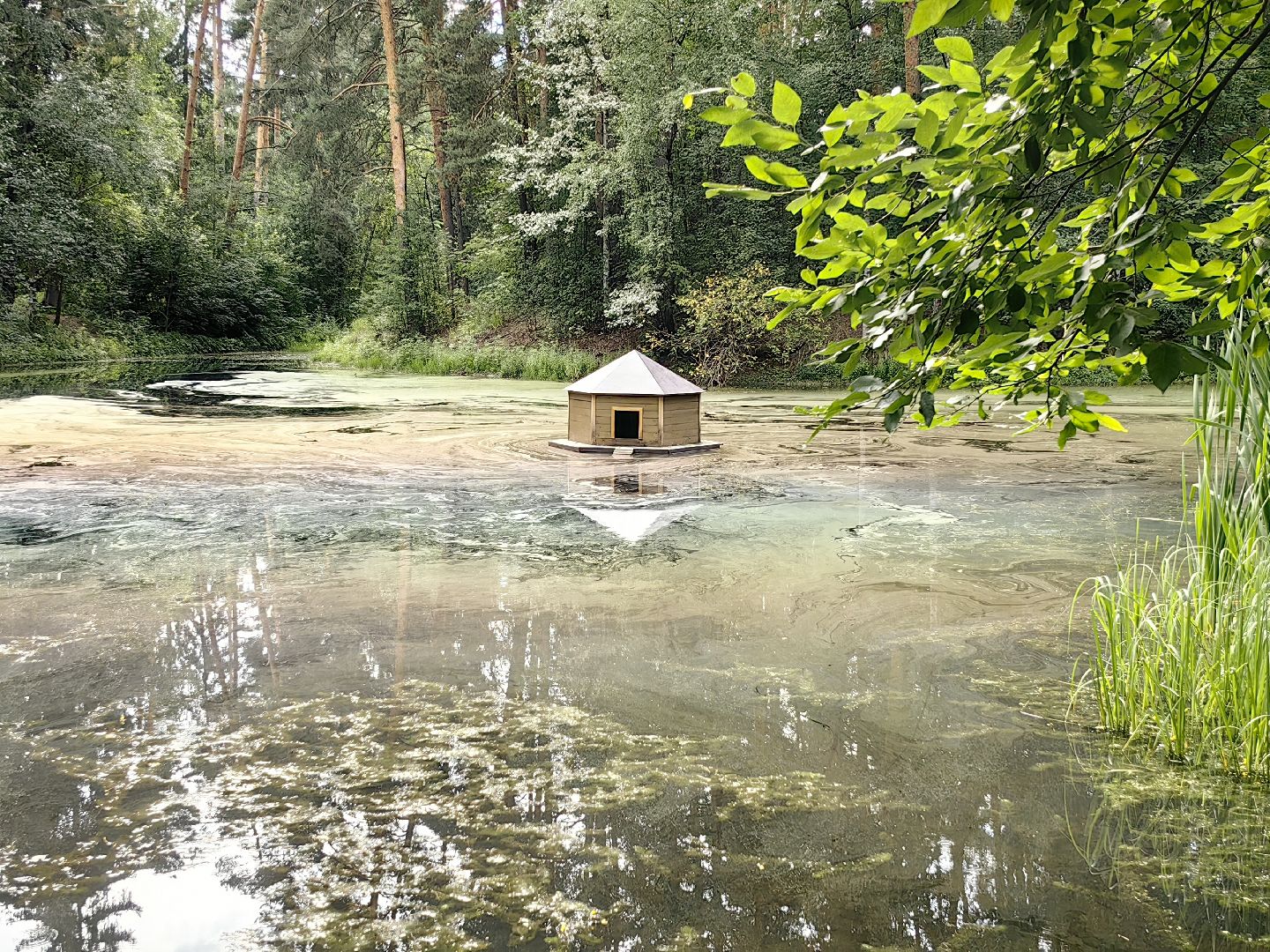 домик для уток, плавающий домик, пруд, потомство, щёлково,