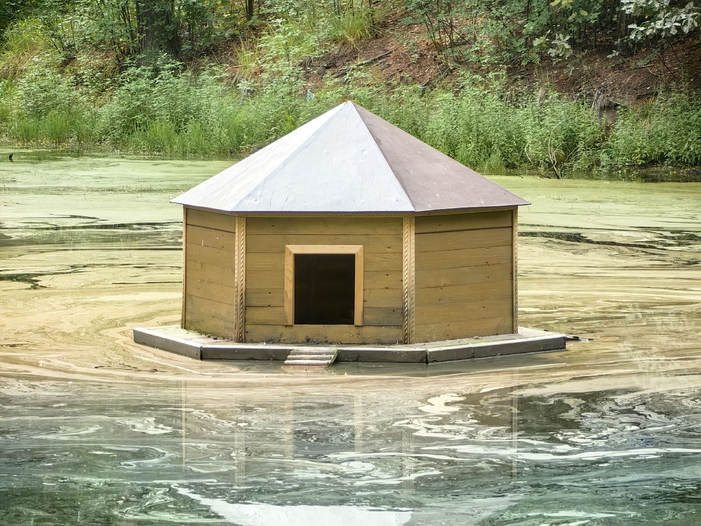 домик для уток, плавающий домик, пруд, потомство, щёлково,