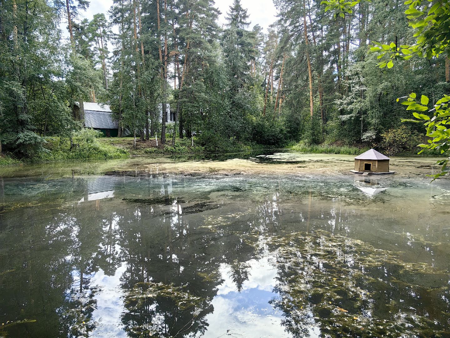 домик для уток, плавающий домик, пруд, потомство, щёлково,