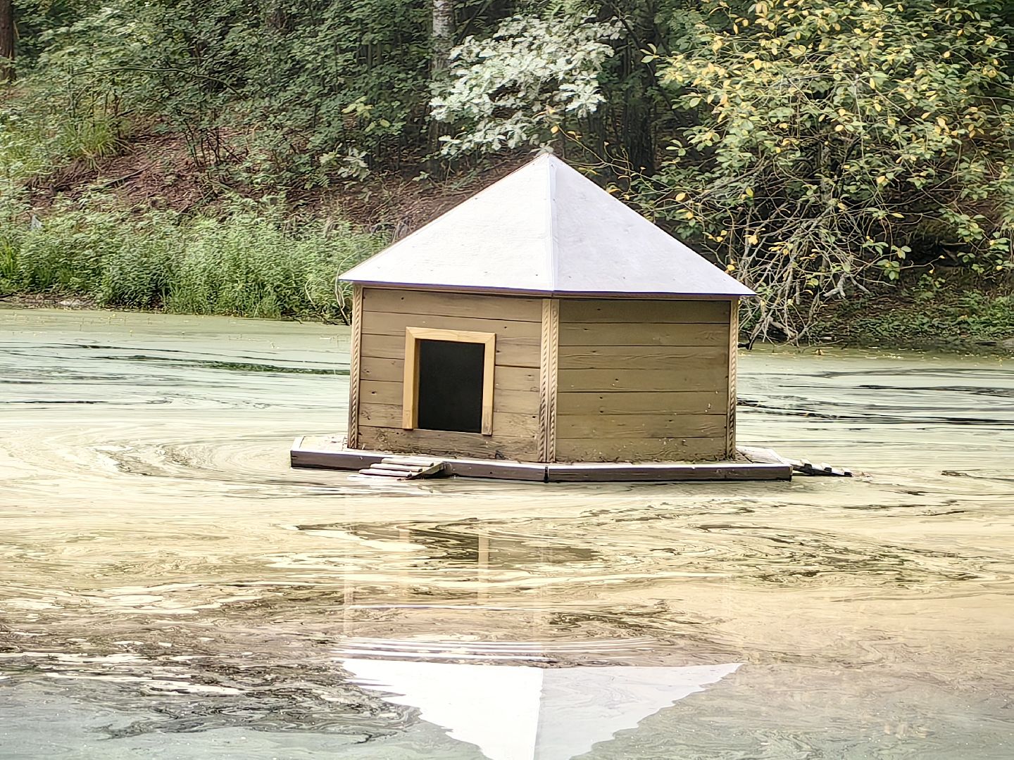 домик для уток, плавающий домик, пруд, потомство, щёлково,