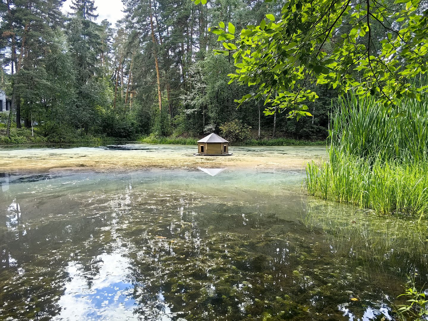 домик для уток, плавающий домик, пруд, потомство, щёлково,