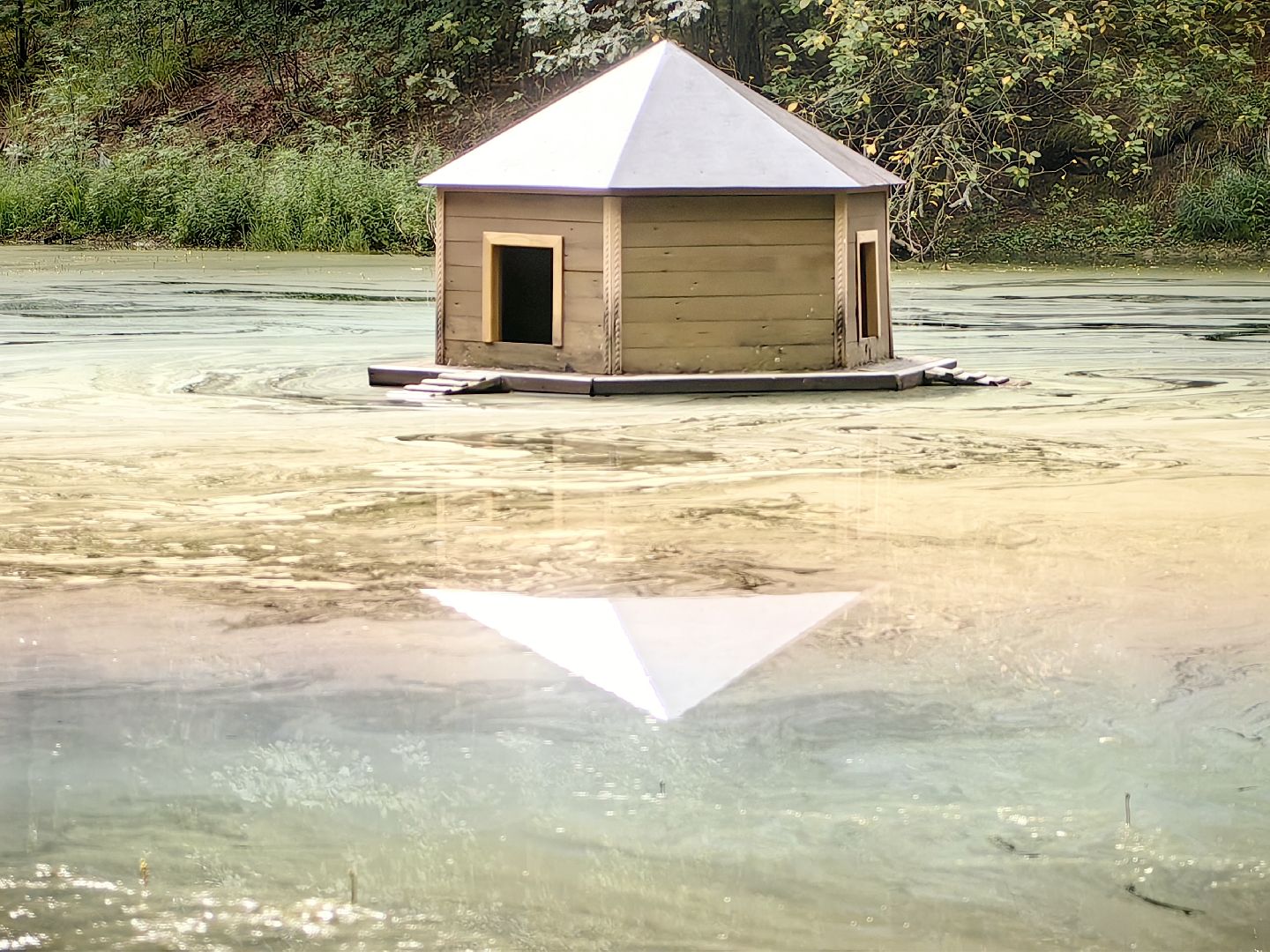 домик для уток, плавающий домик, пруд, потомство, щёлково,